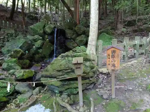 出雲大神宮の庭園