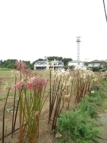 真光寺(千葉県)