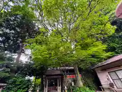 天神社(奈良県)