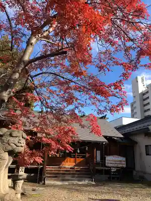 胸肩神社(青森県)