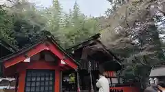 野宮神社(京都府)