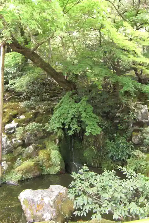 慈照寺(慈照禅寺・銀閣寺)(京都府)