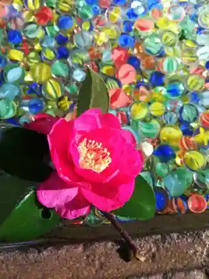 東蕗田天満社の手水舎