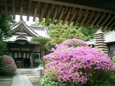 安養院　(田代寺）の本殿・本堂