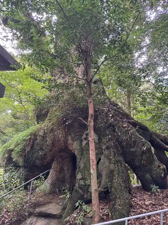 東霧島神社(宮崎県)