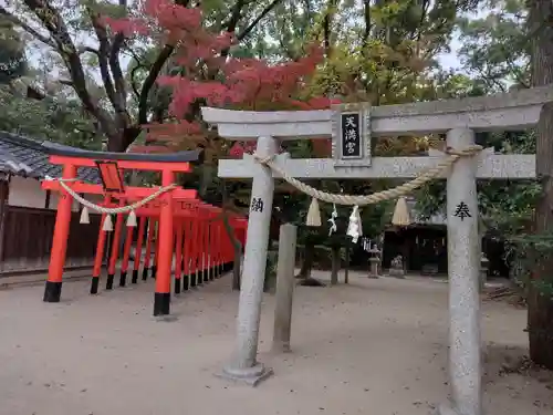 亀之森住吉神社の鳥居