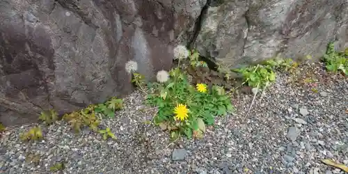 出雲大神宮の自然