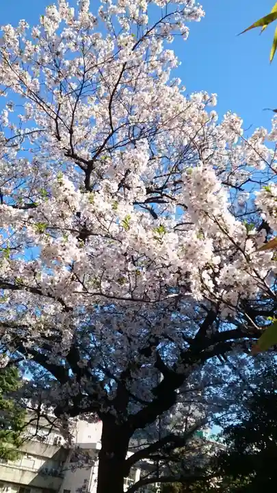 東本願寺(東京都)