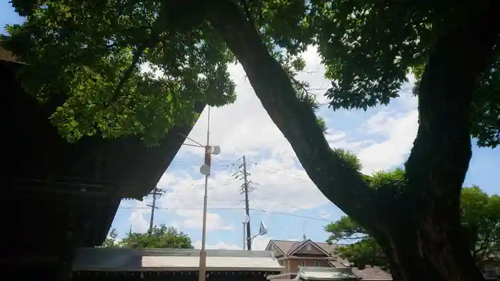 尾張大國霊神社(国府宮)の自然