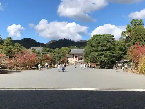 仁和寺の景色