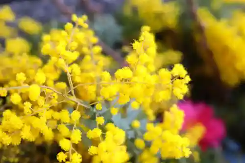 三津厳島神社の手水舎