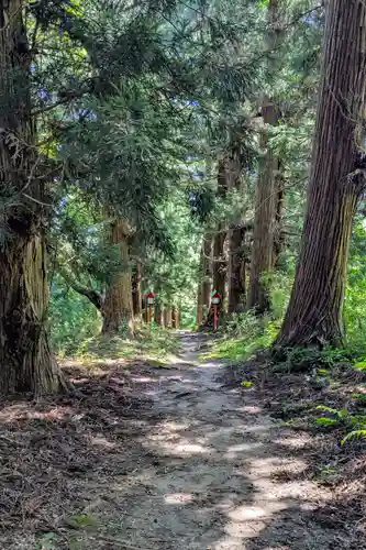 愛宕神社の自然