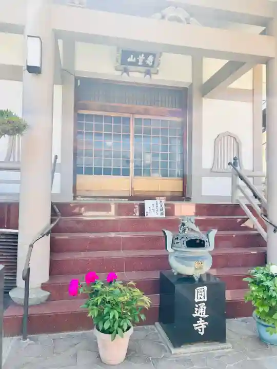 圓通寺の{uncategorized: "未分類", other: "その他", undefined: "問題あり", building: "その他建物", grave: "お墓", sacred_gate: "鳥居", guardian: "狛犬", statue: "像", buddha: "仏像", history: "歴史", nature: "自然", garden: "庭園", animal: "動物", pagoda: "塔", temizu: "手水舎", mountain_gate: "山門・神門", sanctuary: "本殿・本堂", subordinate: "末社・摂社", art: "芸術", scenery: "景色", jizo: "地蔵", ema: "絵馬", goshuin: "御朱印", omikuji: "おみくじ", items: "授与品その他", amulet: "お守り", goshuincho: "御朱印帳", eats: "食事", festival: "お祭り", votive_dance: "神楽", shichigosan: "七五三参", wedding: "結婚式", experience: "体験その他", initially: "初詣", around: "周辺", anti_infection: "感染症対策"}
