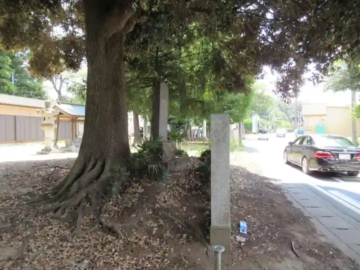 須賀神社の自然
