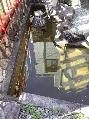 蝮ヶ池龍神社 辨天社(蝮ヶ池八幡宮飛地境内社)の動物