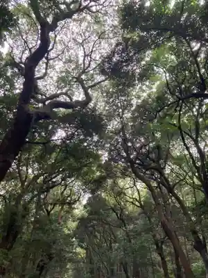 明治神宮(東京都)