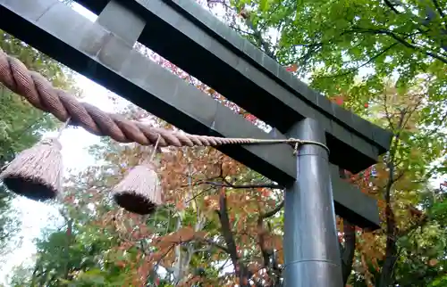 信濃神社の鳥居