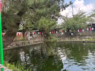 真清田神社(愛知県)