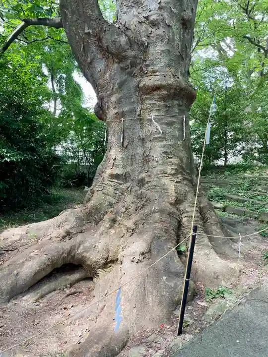 愛宕神社(福島県)