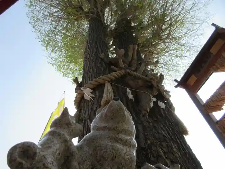 川越八幡宮のその他建物