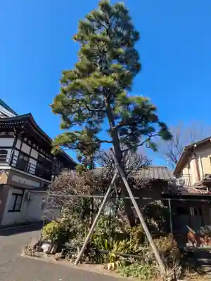 清見寺(東京都)