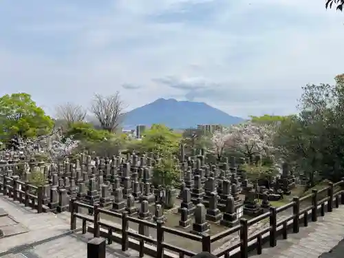 南洲神社のお墓