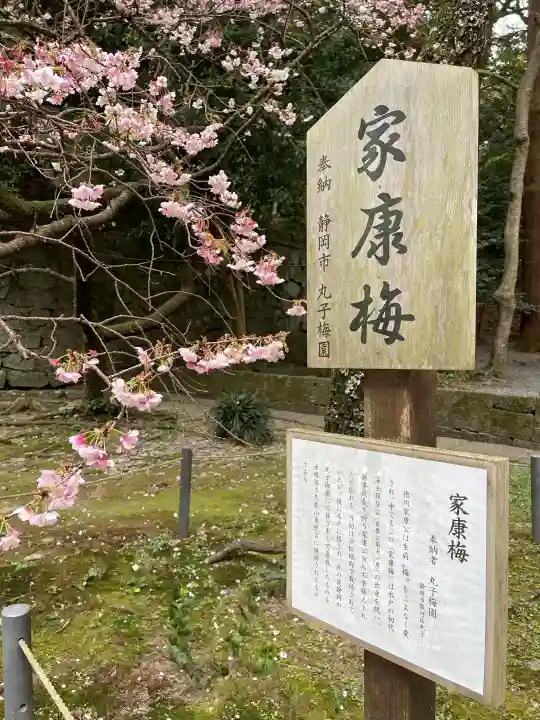 久能山東照宮の{uncategorized: "未分類", other: "その他", undefined: "問題あり", building: "その他建物", grave: "お墓", sacred_gate: "鳥居", guardian: "狛犬", statue: "像", buddha: "仏像", history: "歴史", nature: "自然", garden: "庭園", animal: "動物", pagoda: "塔", temizu: "手水舎", mountain_gate: "山門・神門", sanctuary: "本殿・本堂", subordinate: "末社・摂社", art: "芸術", scenery: "景色", jizo: "地蔵", ema: "絵馬", goshuin: "御朱印", omikuji: "おみくじ", items: "授与品その他", amulet: "お守り", goshuincho: "御朱印帳", eats: "食事", festival: "お祭り", votive_dance: "神楽", shichigosan: "七五三参", wedding: "結婚式", experience: "体験その他", initially: "初詣", around: "周辺", anti_infection: "感染症対策"}