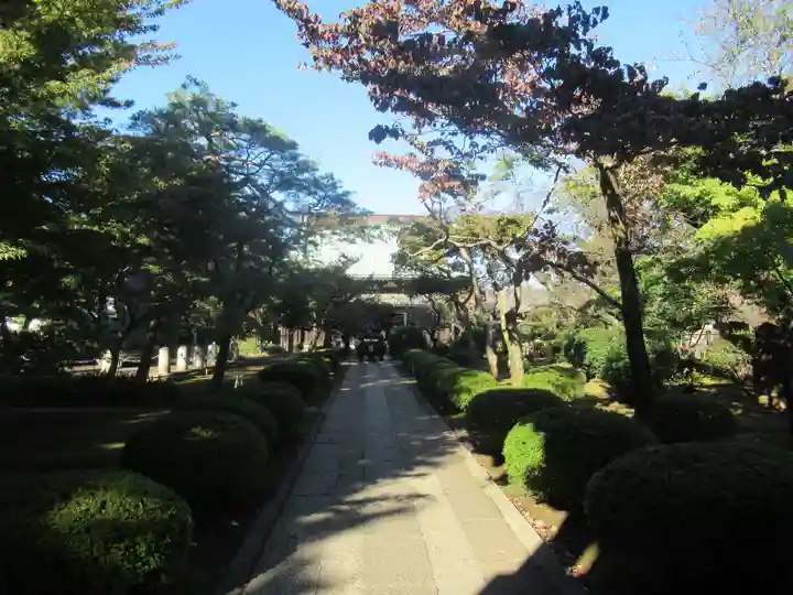 豪徳寺(東京都)
