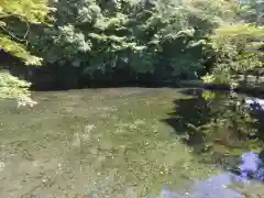 富士山本宮浅間大社(静岡県)