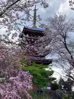 本土寺(千葉県)