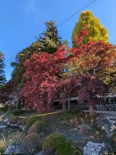 長圓寺(長野県)