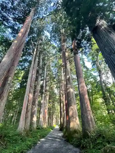 戸隠神社九頭龍社(長野県)
