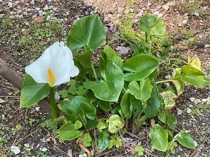富部神社(愛知県)