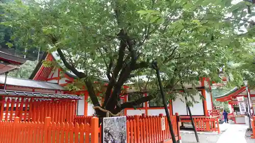 金櫻神社(山梨県)