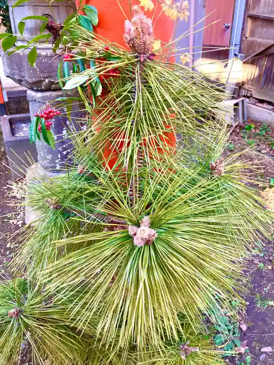 龍ケ崎八坂神社(茨城県)