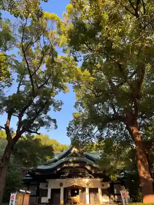 王子神社の本殿・本堂