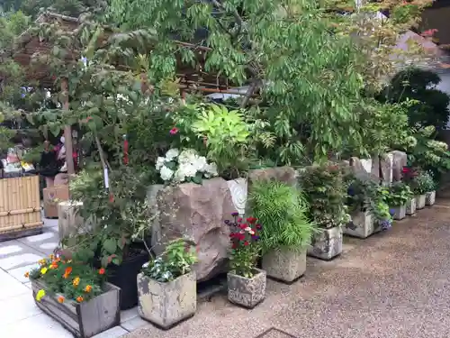 東京大神宮の庭園