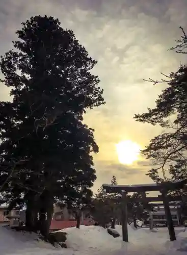 岩木山神社の{uncategorized: "未分類", other: "その他", undefined: "問題あり", building: "その他建物", grave: "お墓", sacred_gate: "鳥居", guardian: "狛犬", statue: "像", buddha: "仏像", history: "歴史", nature: "自然", garden: "庭園", animal: "動物", pagoda: "塔", temizu: "手水舎", mountain_gate: "山門・神門", sanctuary: "本殿・本堂", subordinate: "末社・摂社", art: "芸術", scenery: "景色", jizo: "地蔵", ema: "絵馬", goshuin: "御朱印", omikuji: "おみくじ", items: "授与品その他", amulet: "お守り", goshuincho: "御朱印帳", eats: "食事", festival: "お祭り", votive_dance: "神楽", shichigosan: "七五三参", wedding: "結婚式", experience: "体験その他", initially: "初詣", around: "周辺", anti_infection: "感染症対策"}