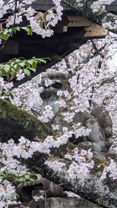 天孫神社(滋賀県)