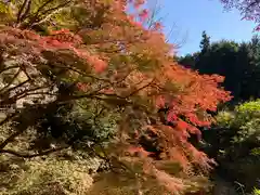 普門寺(切り絵御朱印発祥の寺)の自然