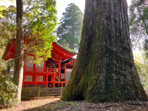 十根川神社の本殿・本堂