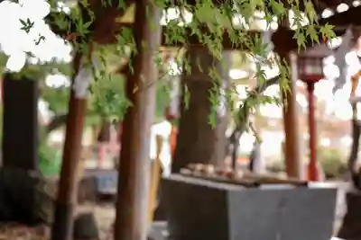 鼻顔稲荷神社(長野県)