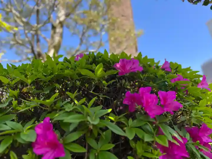 松本山 地福禅寺の自然