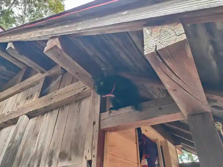 高司神社〜むすびの神の鎮まる社〜(福島県)
