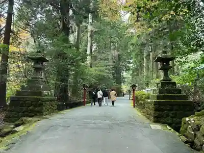 箱根神社(神奈川県)