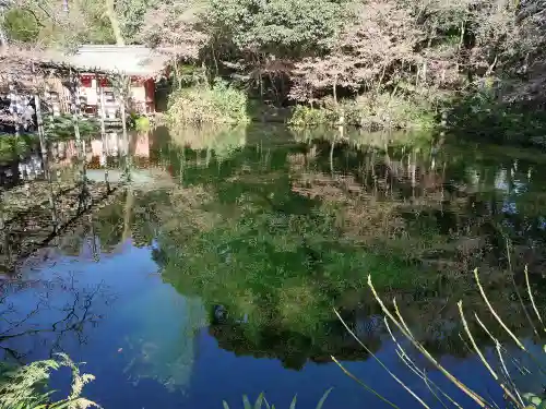 富士山本宮浅間大社の庭園