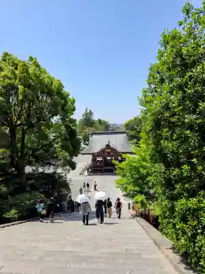 鶴岡八幡宮(神奈川県)