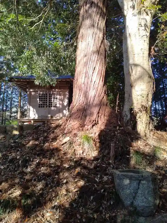 愛宕神社(宮城県)