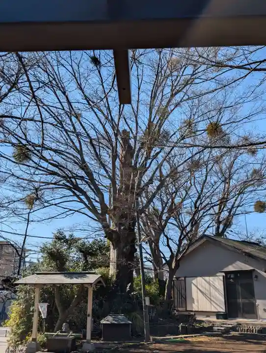 境木地蔵尊(神奈川県)