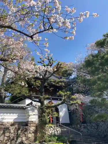 釈迦院の{uncategorized: "未分類", other: "その他", undefined: "問題あり", building: "その他建物", grave: "お墓", sacred_gate: "鳥居", guardian: "狛犬", statue: "像", buddha: "仏像", history: "歴史", nature: "自然", garden: "庭園", animal: "動物", pagoda: "塔", temizu: "手水舎", mountain_gate: "山門・神門", sanctuary: "本殿・本堂", subordinate: "末社・摂社", art: "芸術", scenery: "景色", jizo: "地蔵", ema: "絵馬", goshuin: "御朱印", omikuji: "おみくじ", items: "授与品その他", amulet: "お守り", goshuincho: "御朱印帳", eats: "食事", festival: "お祭り", votive_dance: "神楽", shichigosan: "七五三参", wedding: "結婚式", experience: "体験その他", initially: "初詣", around: "周辺", anti_infection: "感染症対策"}